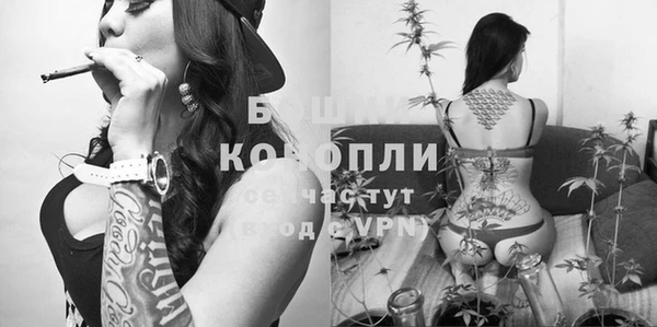 jwh Валдай