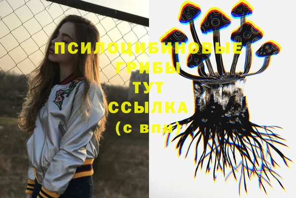 PSILOCYBIN Болохово