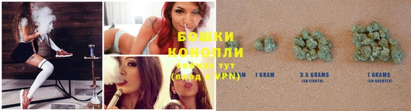 PSILOCYBIN Болохово