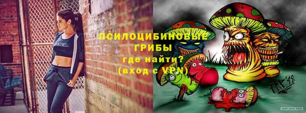 PSILOCYBIN Болохово
