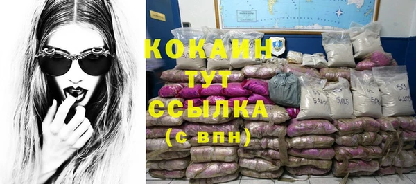 ешки Болотное