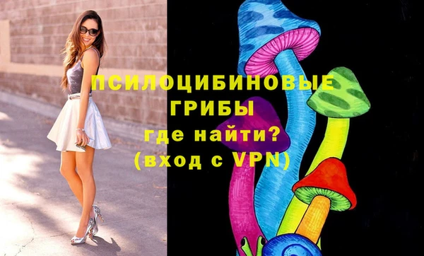 ешки Болотное
