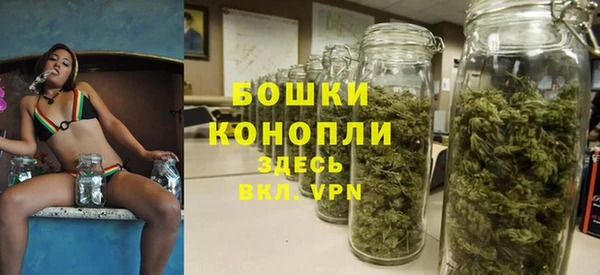 ешки Болотное