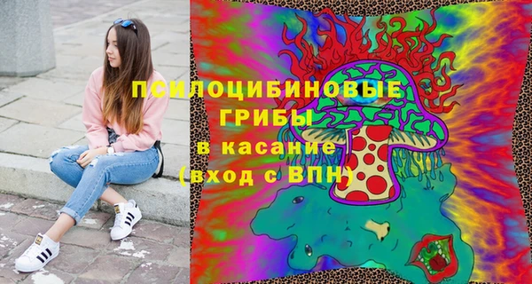 ешки Болотное