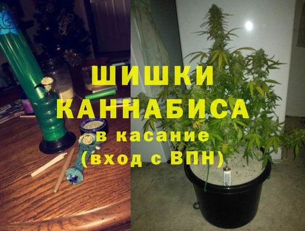 ешки Болотное