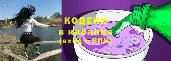 ешки Болотное