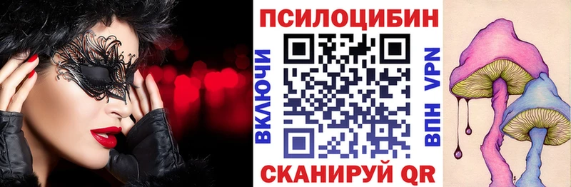 Псилоцибиновые грибы Psilocybine cubensis  где продают наркотики  Камызяк 